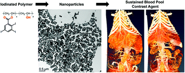 Graphical abstract: Iodinated polymer nanoparticles as contrast agent for spectral photon counting computed tomography