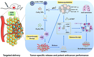 Graphical abstract: Cascade reaction-mediated efficient ferroptosis synergizes with immunomodulation for high-performance cancer therapy