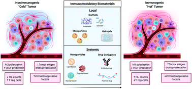 Graphical abstract: Immunostimulatory biomaterials to boost tumor immunogenicity