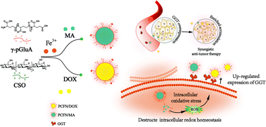 Graphical abstract: Poly-γ-glutamic acid derived nanopolyplexes for up-regulation of gamma-glutamyl transpeptidase to augment tumor active targeting and enhance synergistic antitumor therapy by regulating intracellular redox homeostasis