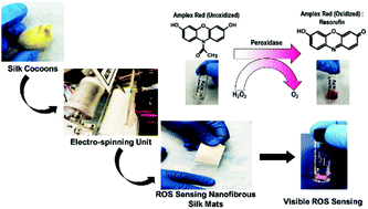 Graphical abstract: Silk fibroin nanofibrous mats for visible sensing of oxidative stress in cutaneous wounds