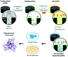 Graphical abstract: Nanobody-displaying porous silicon nanoparticles for the co-delivery of siRNA and doxorubicin