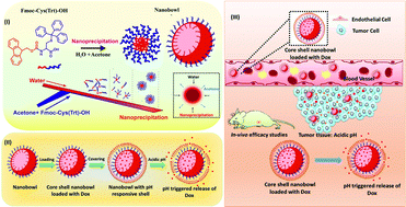 Graphical abstract: Continuous flow fabrication of Fmoc-cysteine based nanobowl infused core–shell like microstructures for pH switchable on-demand anti-cancer drug delivery