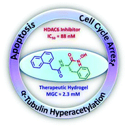 Graphical abstract: Implantable HDAC-inhibiting chemotherapeutics derived from hydrophobic amino acids for localized anticancer therapy