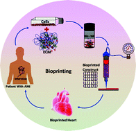 Graphical abstract: Recent advancements in cardiovascular bioprinting and bioprinted cardiac constructs