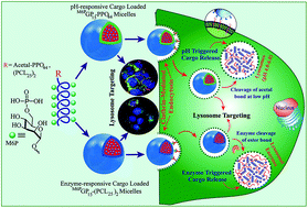 Graphical abstract: Amphiphilic mannose-6-phosphate glycopolypeptide-based bioactive and responsive self-assembled nanostructures for controlled and targeted lysosomal cargo delivery