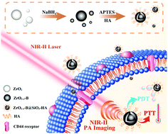 Graphical abstract: Full-spectrum responsive ZrO2-based phototheranostic agent for NIR-II photoacoustic imaging-guided cancer phototherapy