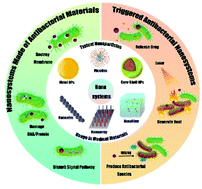 Graphical abstract: Antibacterial nanosystems for cancer therapy