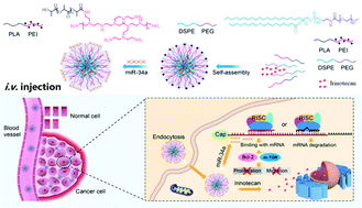 Graphical abstract: Combinatorial miRNA-34a replenishment and irinotecan delivery via auto-fluorescent polymeric hybrid micelles for synchronous colorectal cancer theranostics