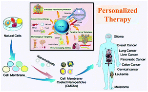 Graphical abstract: Orchestration of biomimetic membrane coating and nanotherapeutics in personalized anticancer therapy