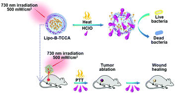 Graphical abstract: A photothermally-induced HClO-releasing nanoplatform for imaging-guided tumor ablation and bacterial prevention