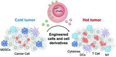 Graphical abstract: Engineered drug-loaded cells and cell derivatives as a delivery platform for cancer immunotherapy