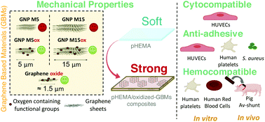 Graphical abstract: Graphene-based materials: the key for the successful application of pHEMA as a blood-contacting device