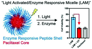Graphical abstract: High efficiency loading of micellar nanoparticles with a light switch for enzyme-induced rapid release of cargo