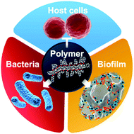 Graphical abstract: Amphiphilic polymer therapeutics: an alternative platform in the fight against antibiotic resistant bacteria