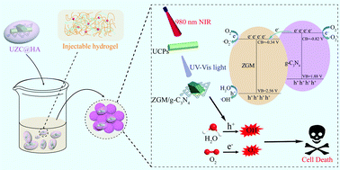Graphical abstract: UCPs/Zn2GeO4:Mn2+/g-C3N4 heterojunction engineered injectable thermosensitive hydrogel for oxygen independent breast cancer neoadjuvant photodynamic therapy