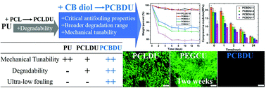 Graphical abstract: Thermoplastic polyurethane with controllable degradation and critical anti-fouling properties
