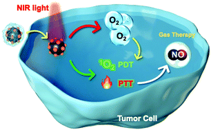Graphical abstract: Gaseous microenvironmental remodeling of tumors for enhanced photo-gas therapy and real-time tracking
