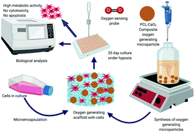 Graphical abstract: Engineering calcium peroxide based oxygen generating scaffolds for tissue survival