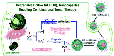 Graphical abstract: Hollow nanocapsules of NiFe hydroxides to enable doxorubicin delivery and combinational tumour therapy