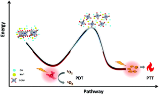 Graphical abstract: Porphyrin-based metal coordination polymers with self-assembly pathway-dependent properties for photodynamic and photothermal therapy