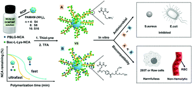 Graphical abstract: Efficient synthesis and excellent antimicrobial activity of star-shaped cationic polypeptides with improved biocompatibility