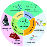 Graphical abstract: Biomedical applications of methionine-based systems