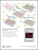 Graphical abstract: Back cover
