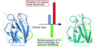 Graphical abstract: Enhancing the enthalpic contribution of hydrogen bonds by solvent shielding