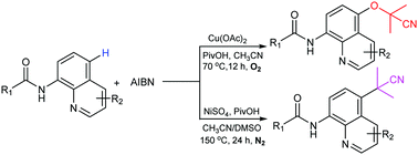 Graphical abstract: Regioselective remote C5 cyanoalkoxylation and cyanoalkylation of 8-aminoquinolines with azobisisobutyronitrile