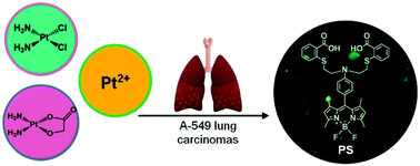 Graphical abstract: A BODIPY-based fluorescent sensor for the detection of Pt2+ and Pt drugs