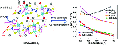 Graphical abstract: Intrinsically low thermal conductivity in a p-type semiconductor SrOCuBiSe2 with a [SrO]-intercalated CuBiSe2 structure