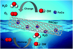 Graphical abstract: Single-layer carbon-coated FeCo alloy nanoparticles embedded in single-walled carbon nanotubes for high oxygen electrocatalysis