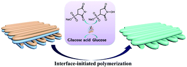 Graphical abstract: Strength-tunable printing of xanthan gum hydrogel via enzymatic polymerization and amide bioconjugation
