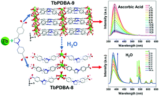 Graphical abstract: Solvent triggering structural changes for two terbium-based metal–organic frameworks and their photoluminescence sensing