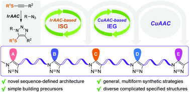 Graphical abstract: Construction of sequence-defined polytriazoles by IrAAC and CuAAC reactions