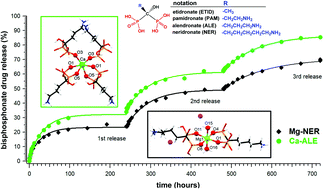 Graphical abstract: Self-sacrificial MOFs for ultra-long controlled release of bisphosphonate anti-osteoporotic drugs