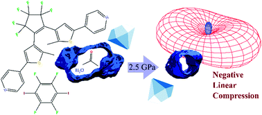 Graphical abstract: Large negative linear compressibility of a porous molecular co-crystal