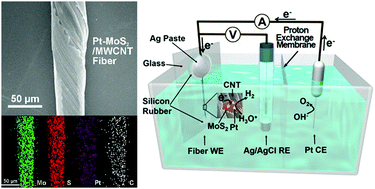 Graphical abstract: Transition metal dichalcogenide/multi-walled carbon nanotube-based fibers as flexible electrodes for electrocatalytic hydrogen evolution