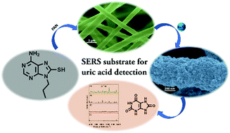 Graphical abstract: Purine-blended nanofiber woven flexible nanomats for SERS-based analyte detection