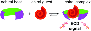 Graphical abstract: Chirality sensing of terpenes, steroids, amino acids, peptides and drugs with acyclic cucurbit[n]urils and molecular tweezers