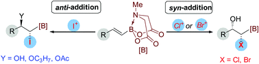 Graphical abstract: Halohydroxylation of alkenyl MIDA boronates: switchable stereoselectivity induced by B(MIDA) substituent