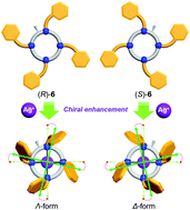 Graphical abstract: Silver ion-induced chiral enhancement by argentivorous molecules