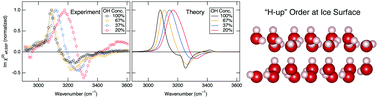 Graphical abstract: Hydrogen order at the surface of ice Ih revealed by vibrational spectroscopy