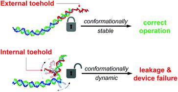 Graphical abstract: Conformational enhancement of fidelity in toehold-sequestered DNA nanodevices