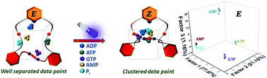 Graphical abstract: Switching the recognition ability of a photoswitchable receptor towards phosphorylated anions