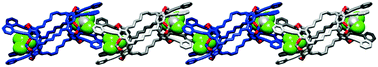 Graphical abstract: Upper-rim functionalization and supramolecular polymerization of a feet-to-feet-connected biscavitand