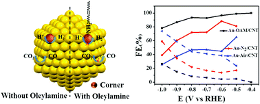 Graphical abstract: The role of adsorbed oleylamine on gold catalysts during synthesis for highly selective electrocatalytic reduction of CO2 to CO