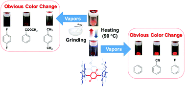 Graphical abstract: Obvious vapochromic color changes of a pillar[6]arene containing one benzoquinone unit with a mechanochromic change before vapor exposure