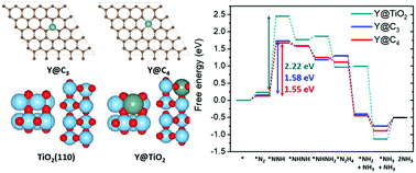 Graphical abstract: Single yttrium sites on carbon-coated TiO2 for efficient electrocatalytic N2 reduction